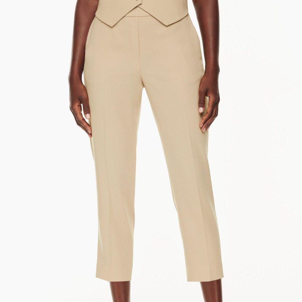 Aritzia Babaton Conan Pant in Cool Beige